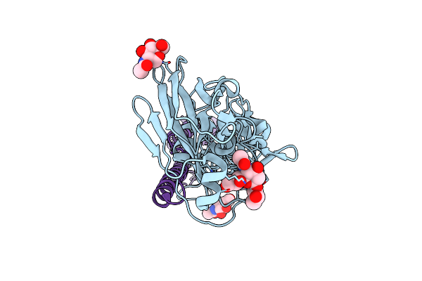 3ZP6 image
