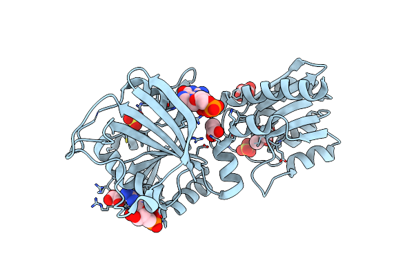 3ZPG image