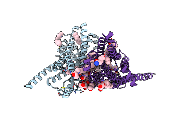 3ZPR image