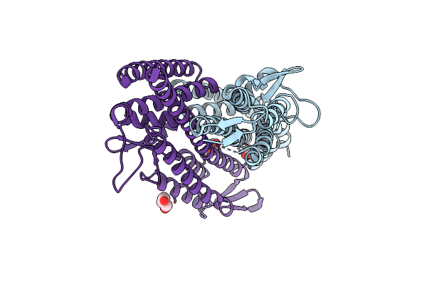 3ZQB image