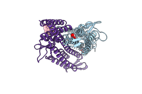 3ZQE image