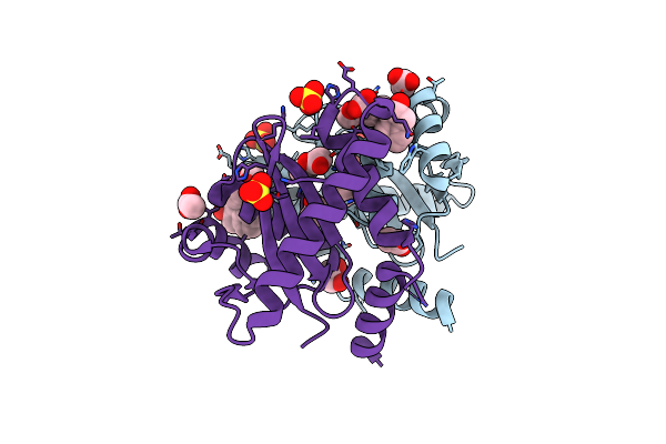 3ZT3 image
