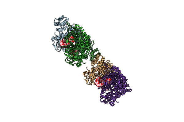 3ZT7 image