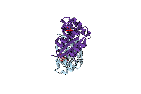 3ZTP image