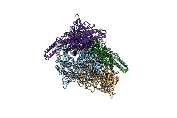 3ZUS image