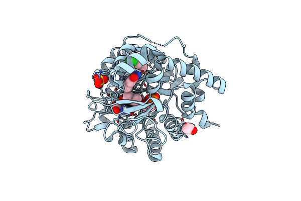 3ZWS image