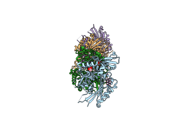 3ZX2 image