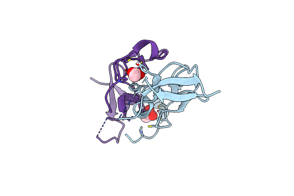 3ZXC image