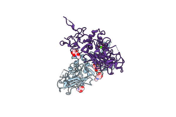 3ZYG image