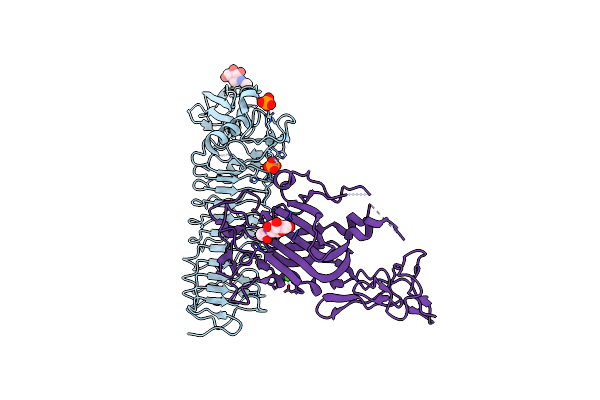 3ZYI image