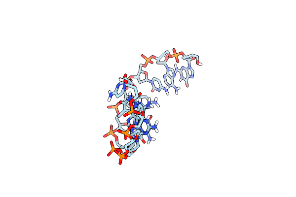 401D image
