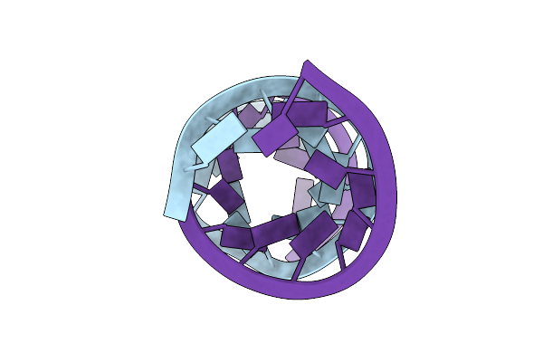 405D image