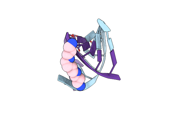 410D image