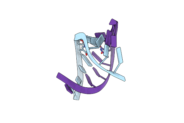 411D image