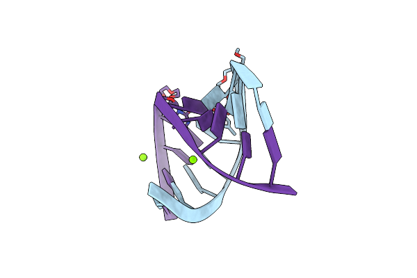 412D image