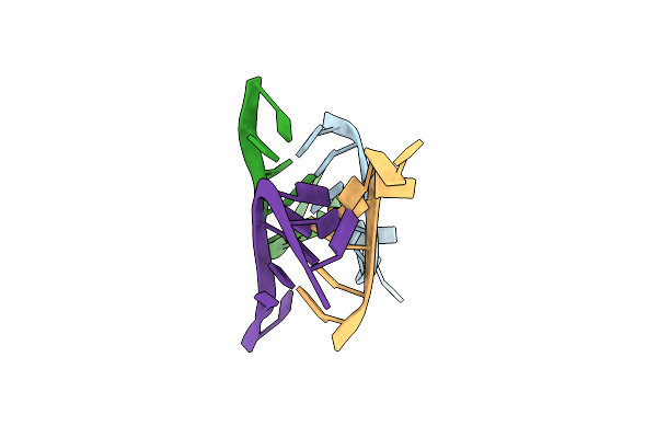 419D image