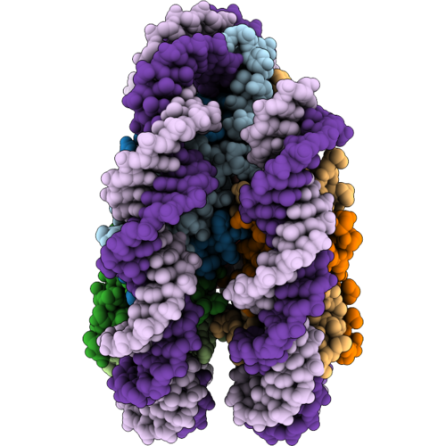 43IB image