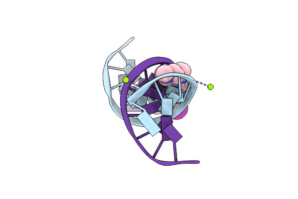 442D image