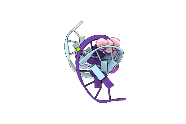 443D image