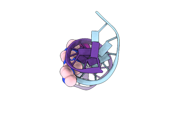 445D image