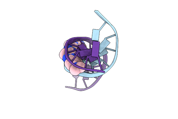 447D image