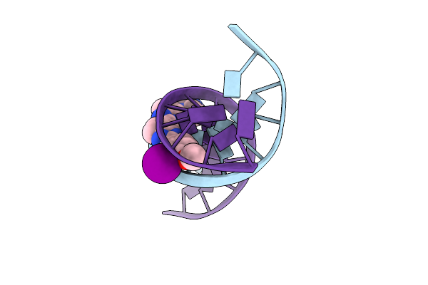 448D image