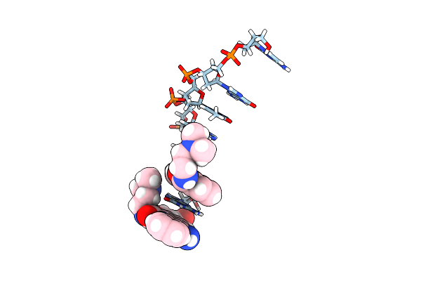 452D image