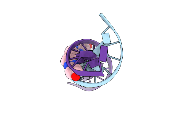453D image