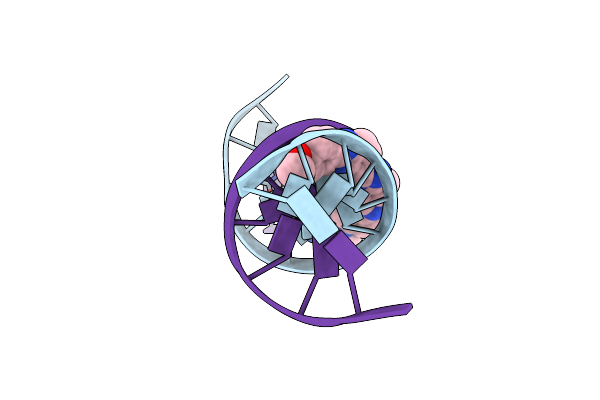 459D image