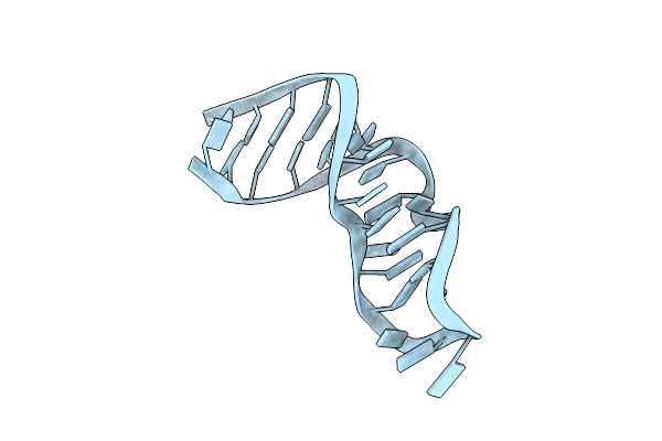 480D image