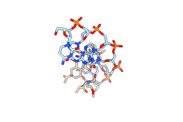 482D image