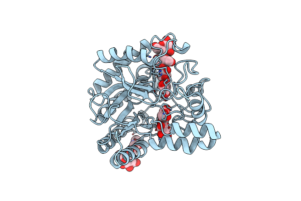 4A05 image