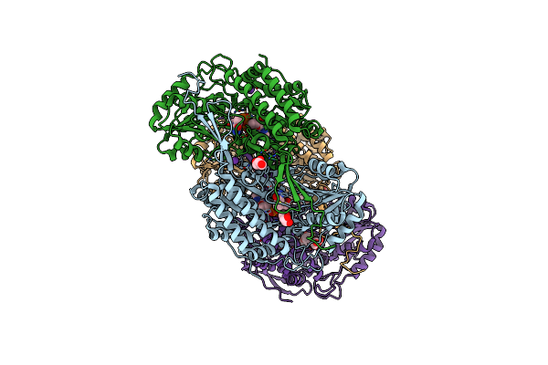 4A0M image