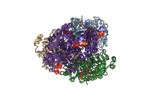 4A0S image