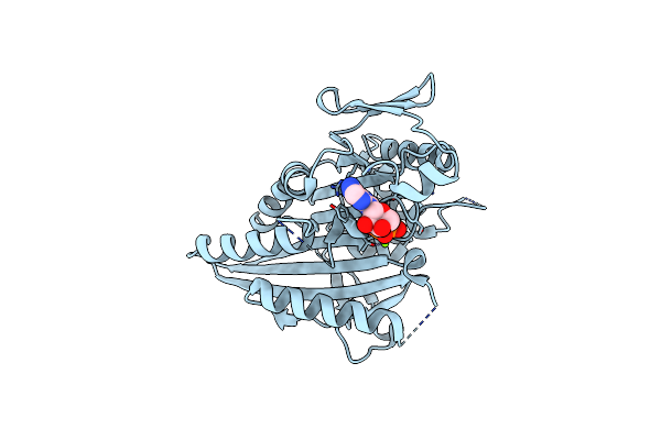 4A14 image