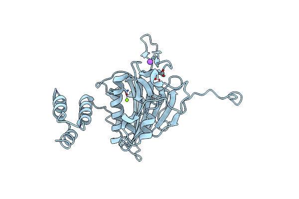 4A1N image