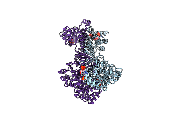4A1O image