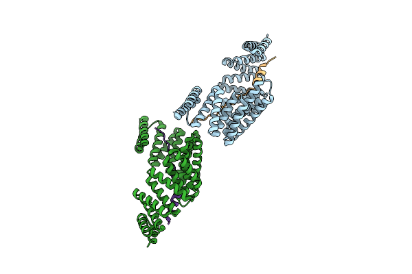 4A1S image