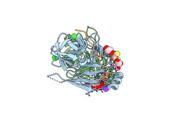 4A1T image