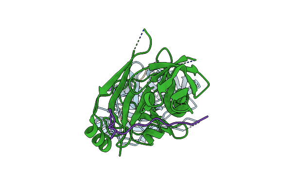 4A1V image