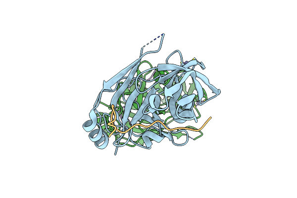 4A1X image