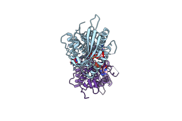 4A1Z image