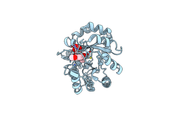 4A29 image