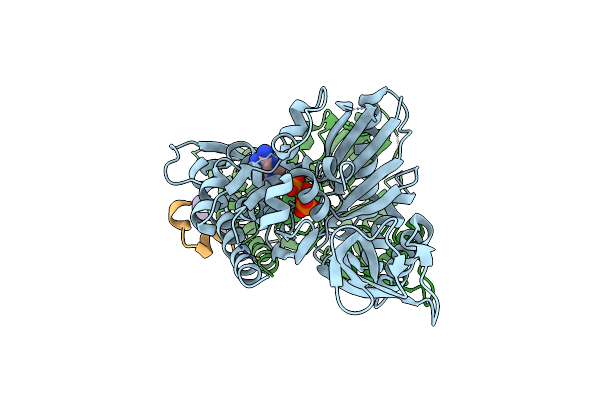 4A2A image