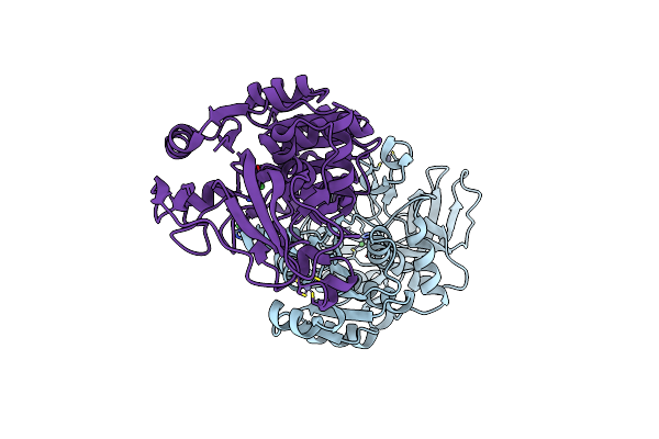 4A2C image