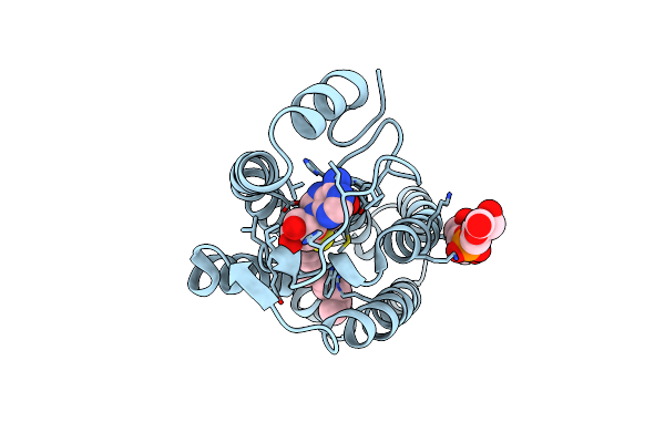 4A2N image