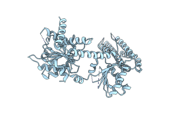 4A2P image