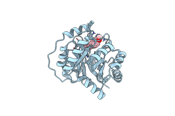 4A2R image