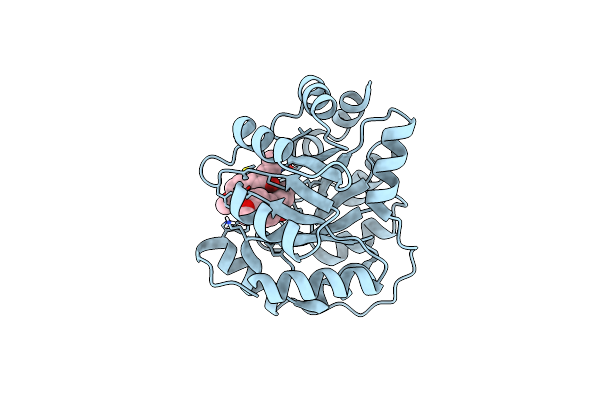 4A2S image