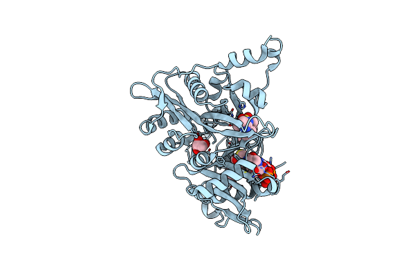 4A2Z image